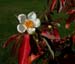 Franklin_al_11-303_6952