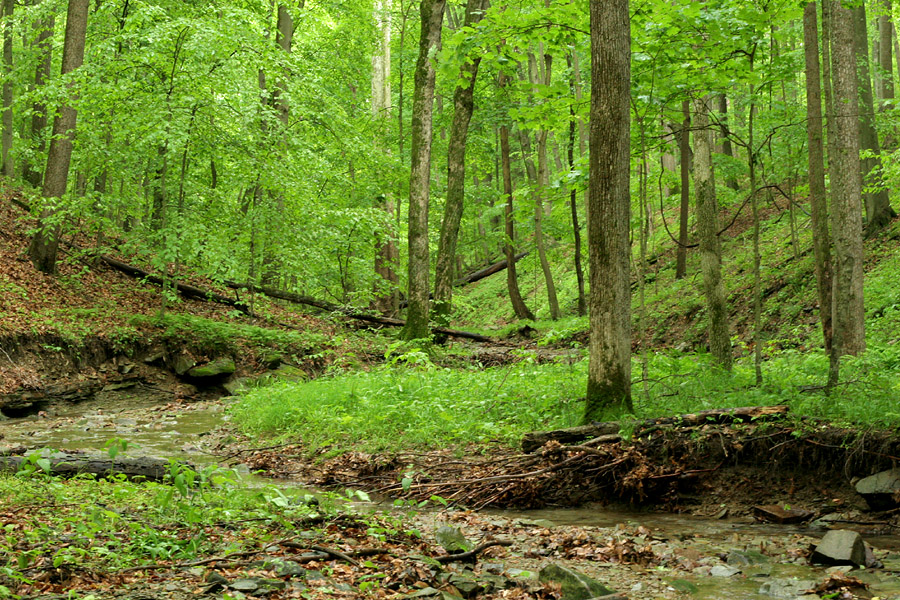 Indiana Ridge Indiana