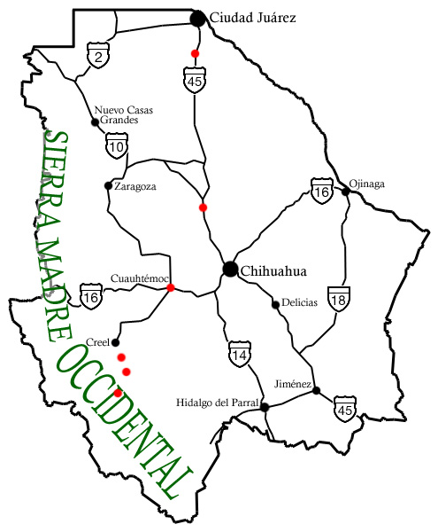 Chihuahua