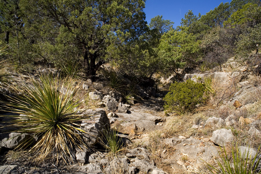 Limestone Ravines New Mexico