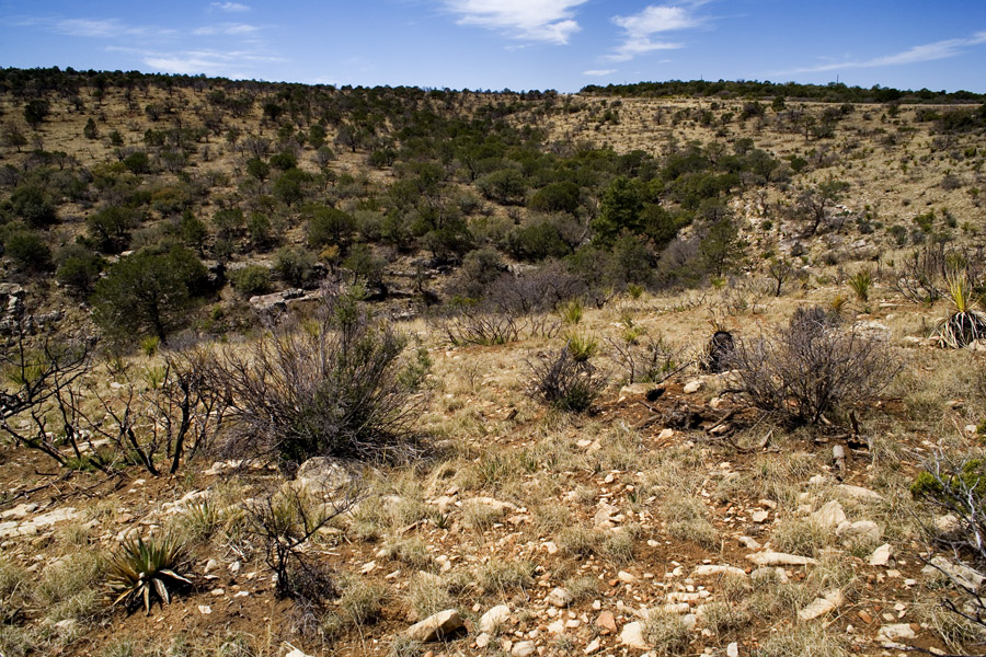 Limestone Ravines New Mexico
