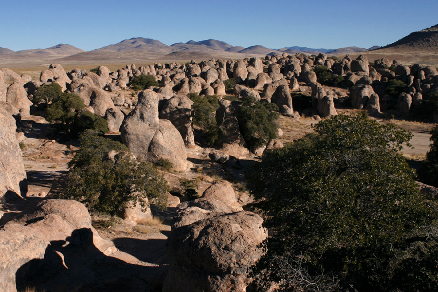 New Mexico