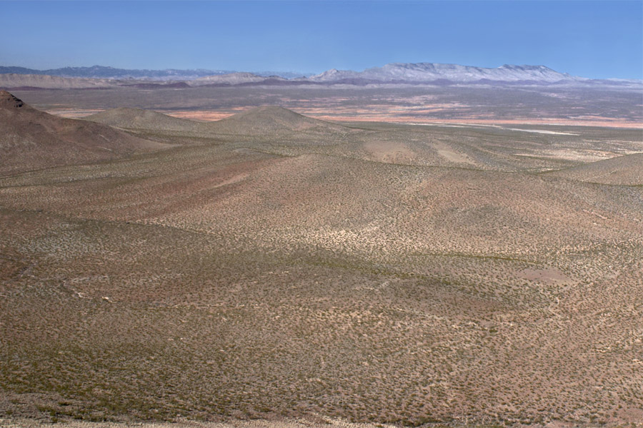 New Mexico